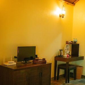 Suite Executive